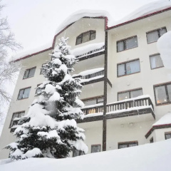 Niseko Park Hotel