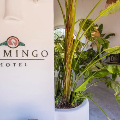 Flamingo Hotel & Spa - Pet Friendly - Bild 2