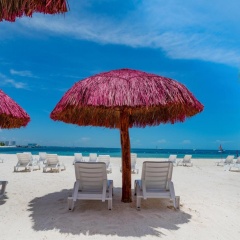 Grand Oasis Palm - All Inclusive - Bild 17