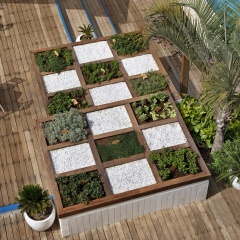 Herbert Samuel Reef Eilat thumbnail 3