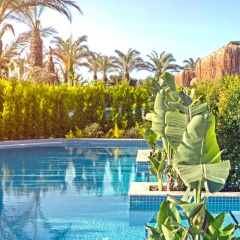 Royal Wings Hotel — All Inclusive - Bild 29