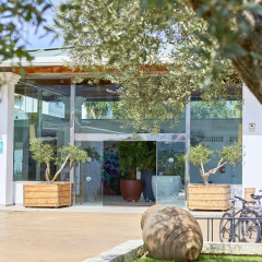 Seaclub Alcudia - Bild 1