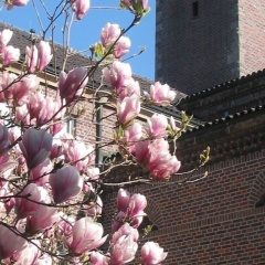 Pallotti Haus - Bild 1