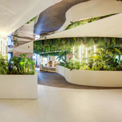 Aubamar Palma Resort - Bild 22
