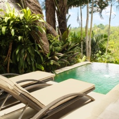 Kupu Kupu Barong Villas & Tree Spa Hotel - Bild 29