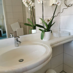 Hotel Cristal - Bild 17