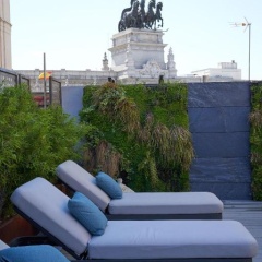 The Hotel Regina - Bild 2