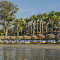 GrandResort in Limassol, Cyprus from 329$, photos, reviews - zenhotels.com photo 25