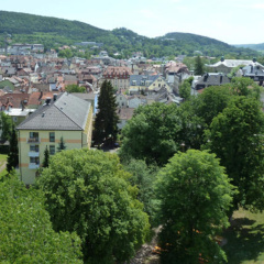 Dösch - Bayerischer Hof - Bild 9