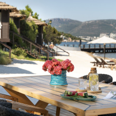 Rixos Premium Bodrum - All Inclusive in Golkoy, Turkiye from 563$, photos, reviews - zenhotels.com photo 22