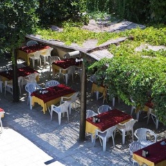 Club Hotel Mira - Bild 13