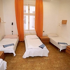 Junior - Bild 5