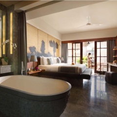 Alaya Resort Ubud Hotel - Bild 8
