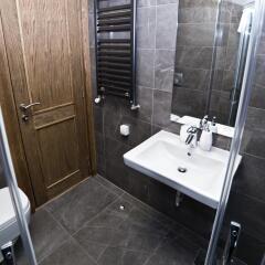 Chalet Petit Palais in Jahorina, Bosnia and Herzegovina from 146$, photos, reviews - zenhotels.com bathroom