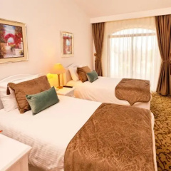 The Olive Tree Hotel thumbnail 5