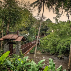 Four Seasons Resort Bali at Sayan - Bild 25