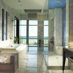 Atlantis Paradise Island in Paradise Island, Bahamas from 364$, photos, reviews - zenhotels.com spa