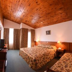 Hotel Bistra, Resort Mavrovo in Mavrovo, Macedonia from 84$, photos, reviews - zenhotels.com guestroom photo 4