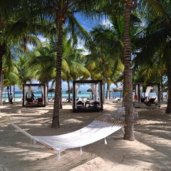 Oasis Palm Hotel - Bild 27