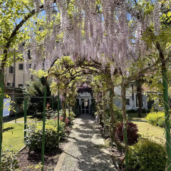 Casa Caburlotto - Bild 1