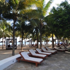 Oasis Palm Hotel - Bild 28