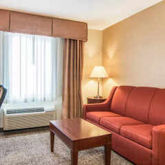 Comfort Inn & Suites Vancouver Downtown City Center in Vancouver, United States of America from 133$, photos, reviews - zenhotels.com photo 3