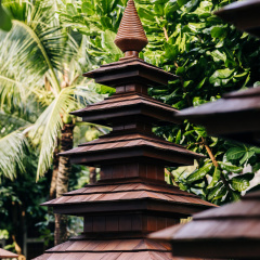 ANI Thailand - Bild 17