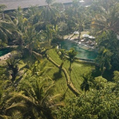 Alaya Resort Ubud Hotel - Bild 24