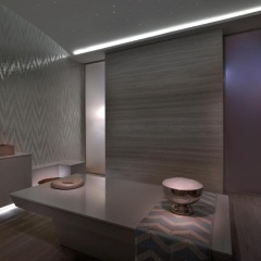 The St. Regis Downtown, Dubai Hotel - Bild 5