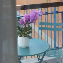 Roof Garden Zaccardi - Bild 17