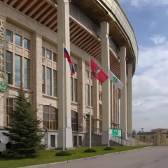 Luzhniki photo 2