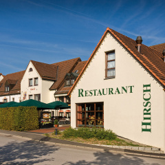 Hirsch - Bild 1