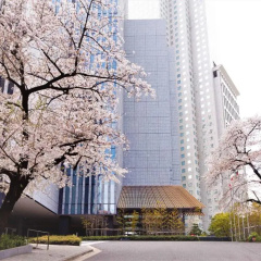 The Capitol Hotel Tokyu - Bild 26