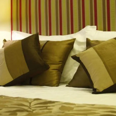 The Canes Boutique Hotel thumbnail 9