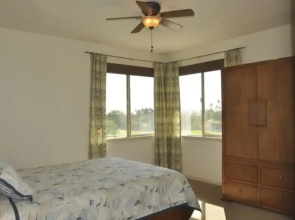 Koa'e Kea's Nest