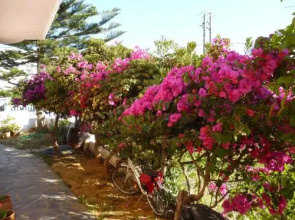 Romanza