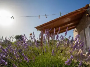 Krcina Holiday Home