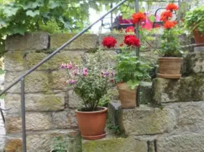 Kleines Haus Meißen