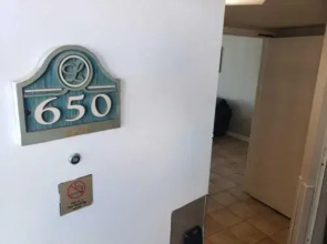 Landmark 650