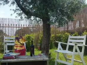 I Colori del Sole