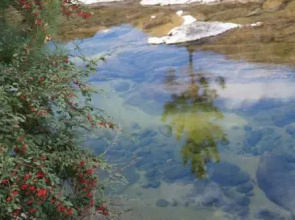 Serranias Del Tabaquillo