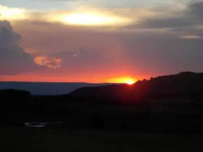 Woolly Bugger Farm