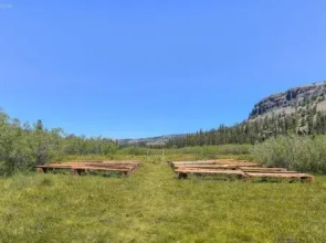 Sun Meadows