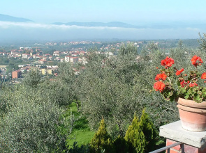 Podere Berrettino - Inh 39894