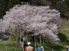 Hakuunsou