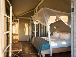 Andersson's Camp