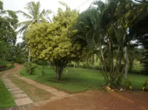 Greengarden Bungalow