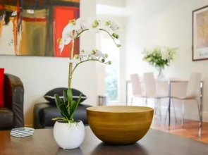 Boutique Stays - Brighton Vale