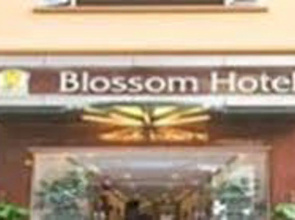 Blossom