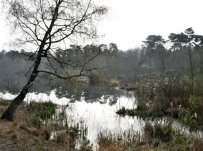 De Waterput